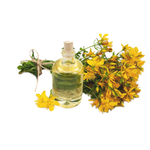 Экстракт Зверобоя масляный  