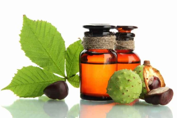 Экстракт Конского каштана масляный  